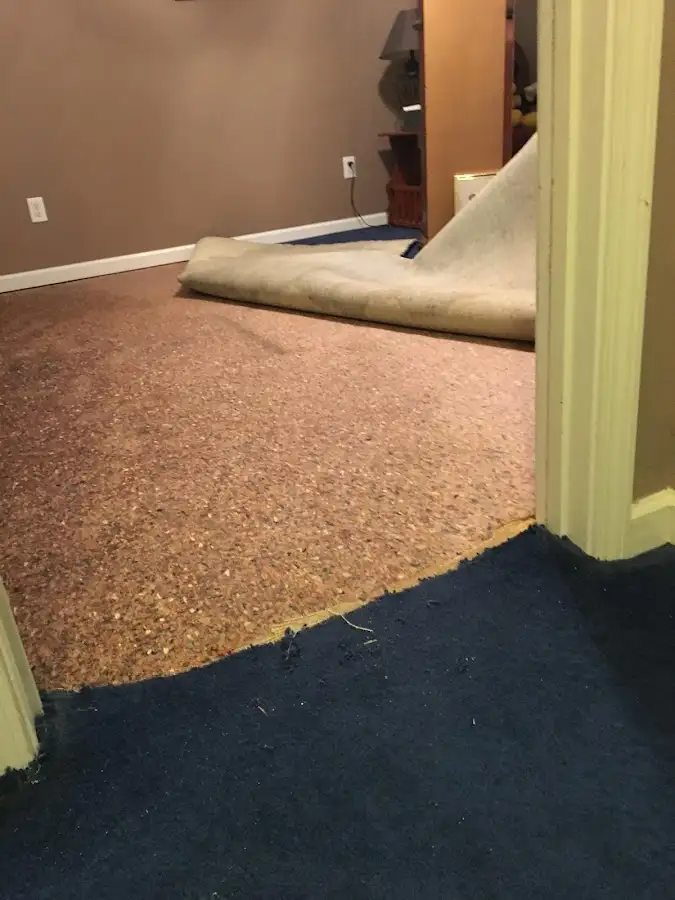 Carpet pad removal revealing water damage during Water Mitigation Services in Lower Burrell
