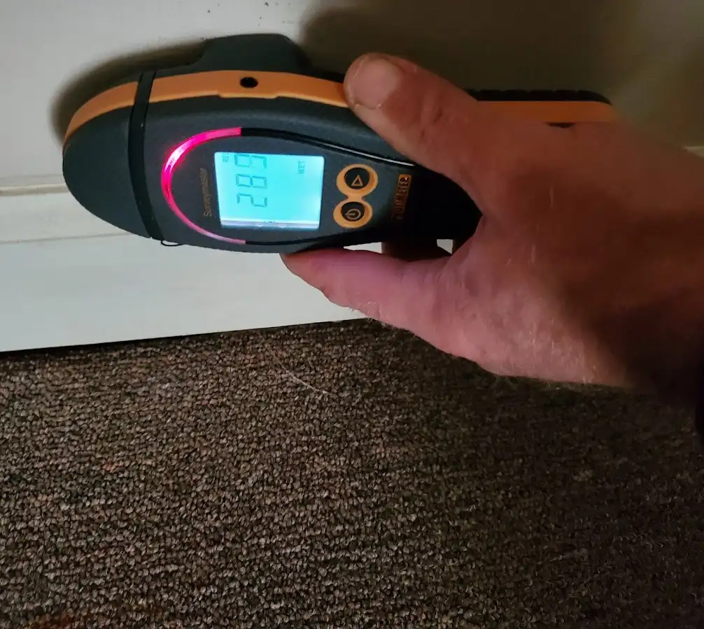 Moisture detection at baseboard during Burst Pipe Cleanup in Lower Burrell